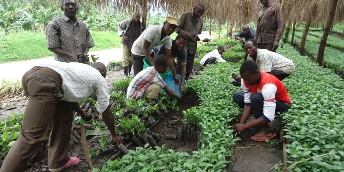 Sustainable Agriculture Training